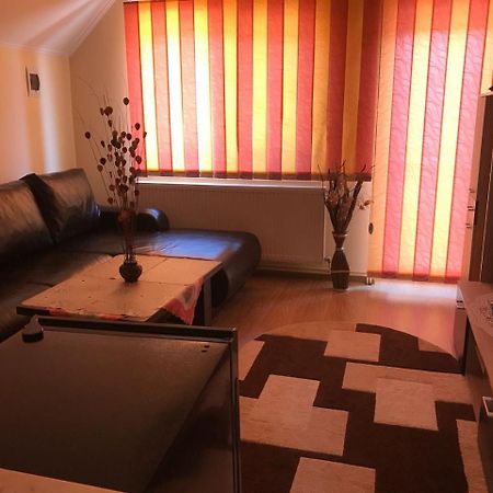 Villa Steluta à Călimăneşti Extérieur photo