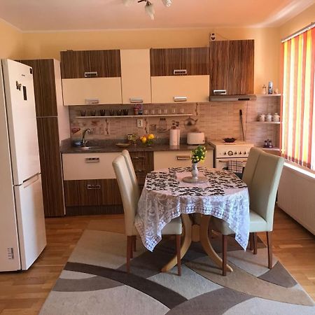Villa Steluta à Călimăneşti Extérieur photo