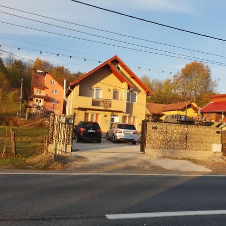 Villa Steluta à Călimăneşti Extérieur photo