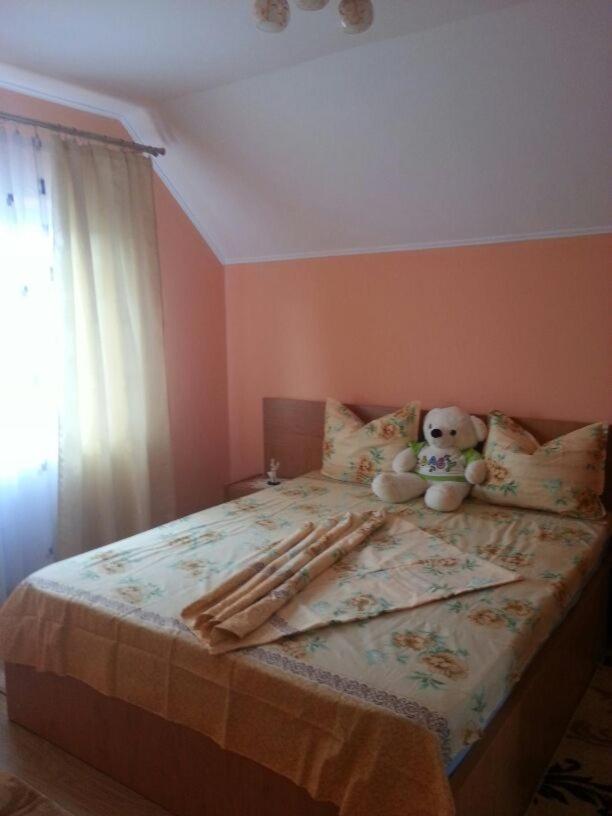 Villa Steluta à Călimăneşti Extérieur photo