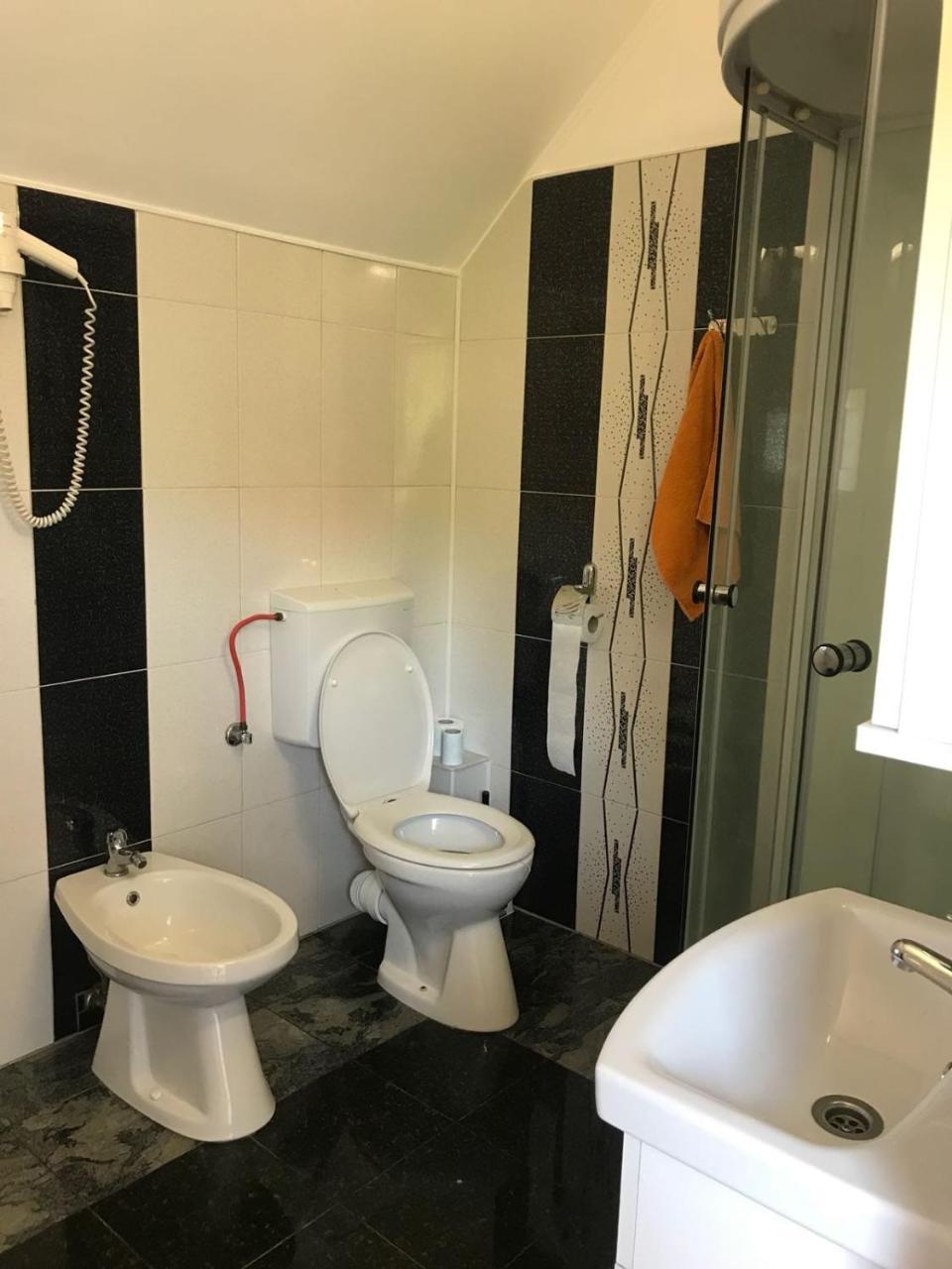 Villa Steluta à Călimăneşti Extérieur photo