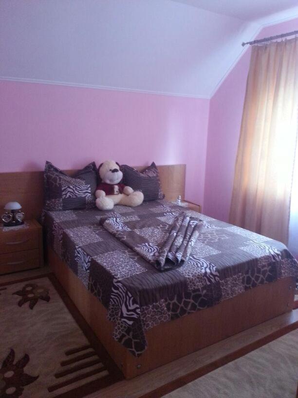 Villa Steluta à Călimăneşti Extérieur photo