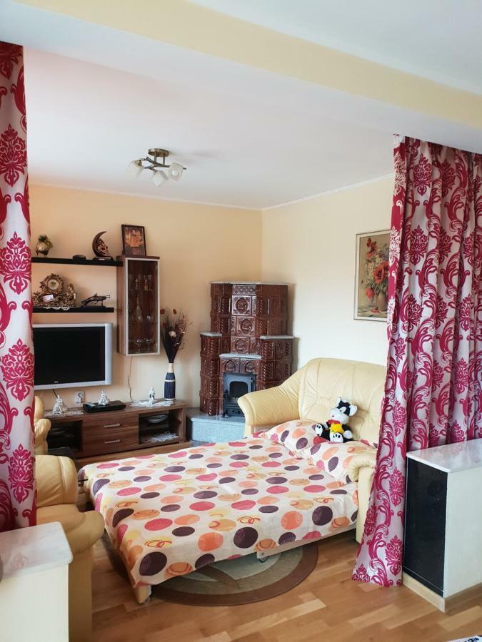 Villa Steluta à Călimăneşti Extérieur photo